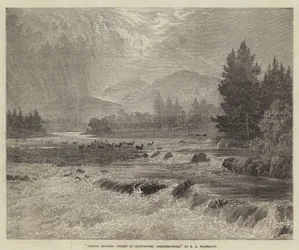 Przelotne prysznice, Las Glentanner, Aberdeenshire